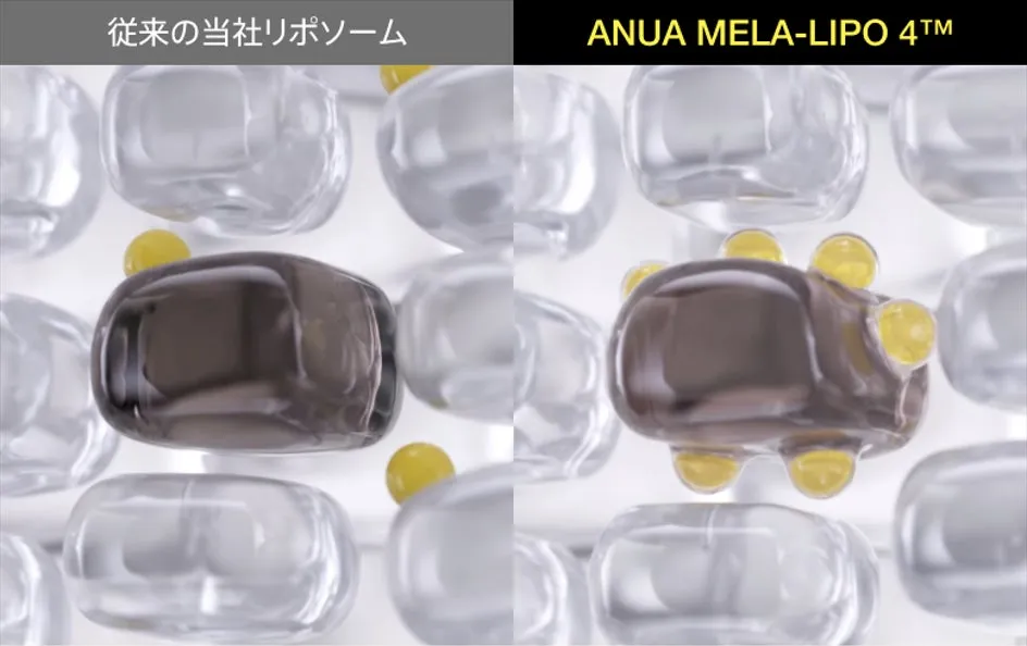 独自のリポソーム技術の図解