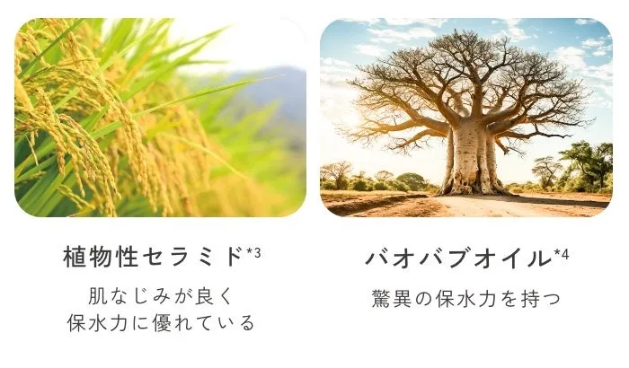 植物性セラミドとバオバブオイルの厳選素材
