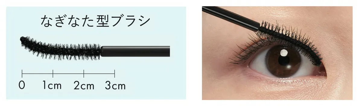 根もとから塗りやすい独自のなぎなた型ブラシ