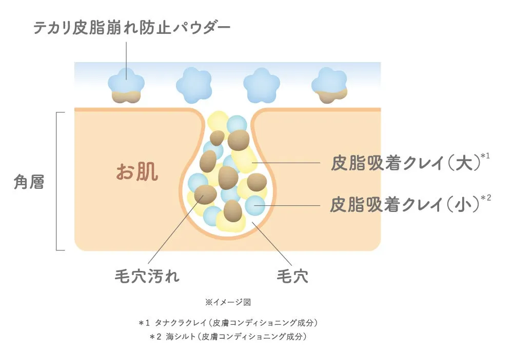 皮脂吸着クレイが毛穴の皮脂をキャッチする仕組みの図解