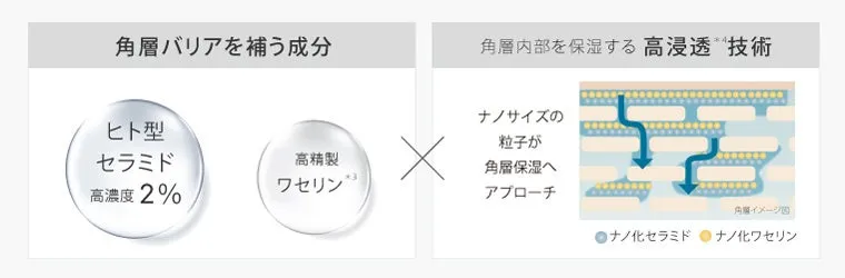 ヒト型セラミド2％とナノ浸透技術の解説図