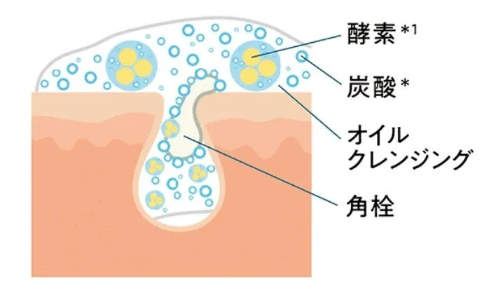 毛穴の角栓にオイル、炭酸、酵素が浸透して溶かし出すメカニズムの図解