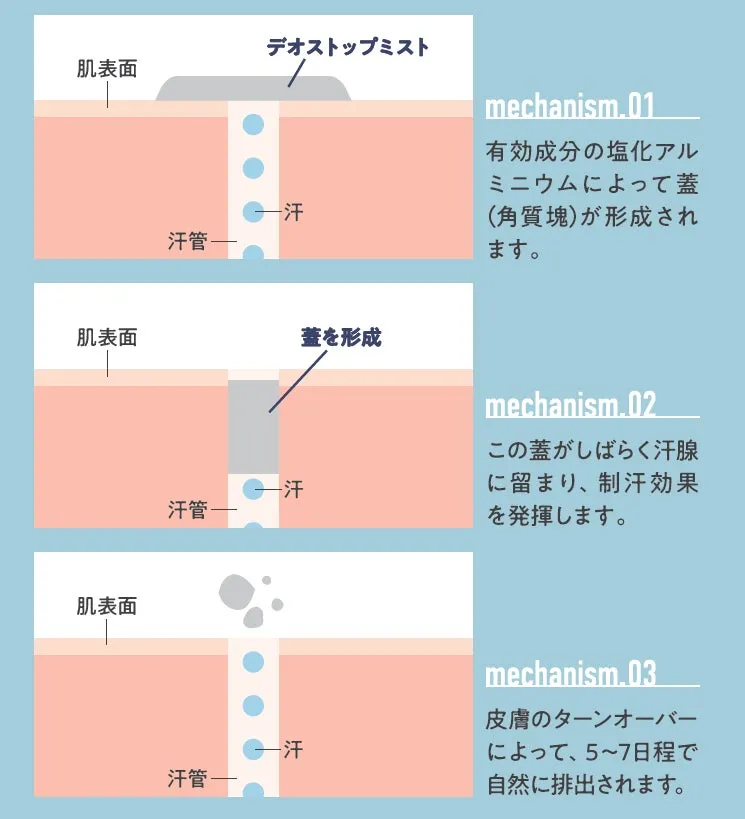 塩化アルミニウムが汗腺に蓋をするメカニズム図解