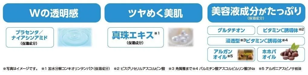 プラセンタ、ナイアシンアミド、真珠エキスなど配合成分を詳しく解説した図。