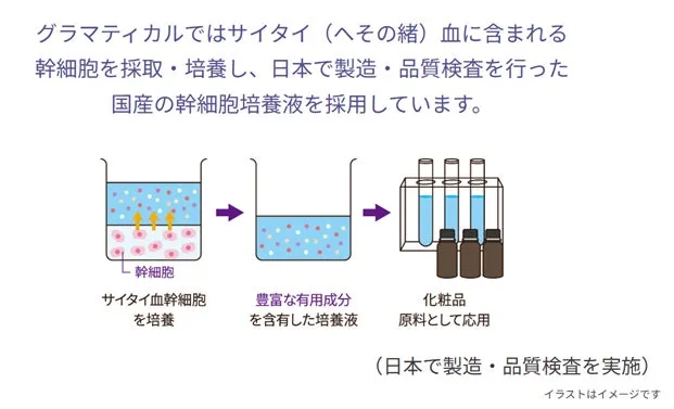 国産のヒト幹細胞培養液ができるまでの製造工程イラスト