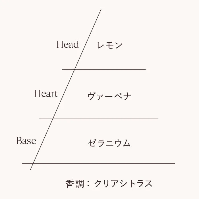 ヴァーベナの香りのピラミッドチャート
