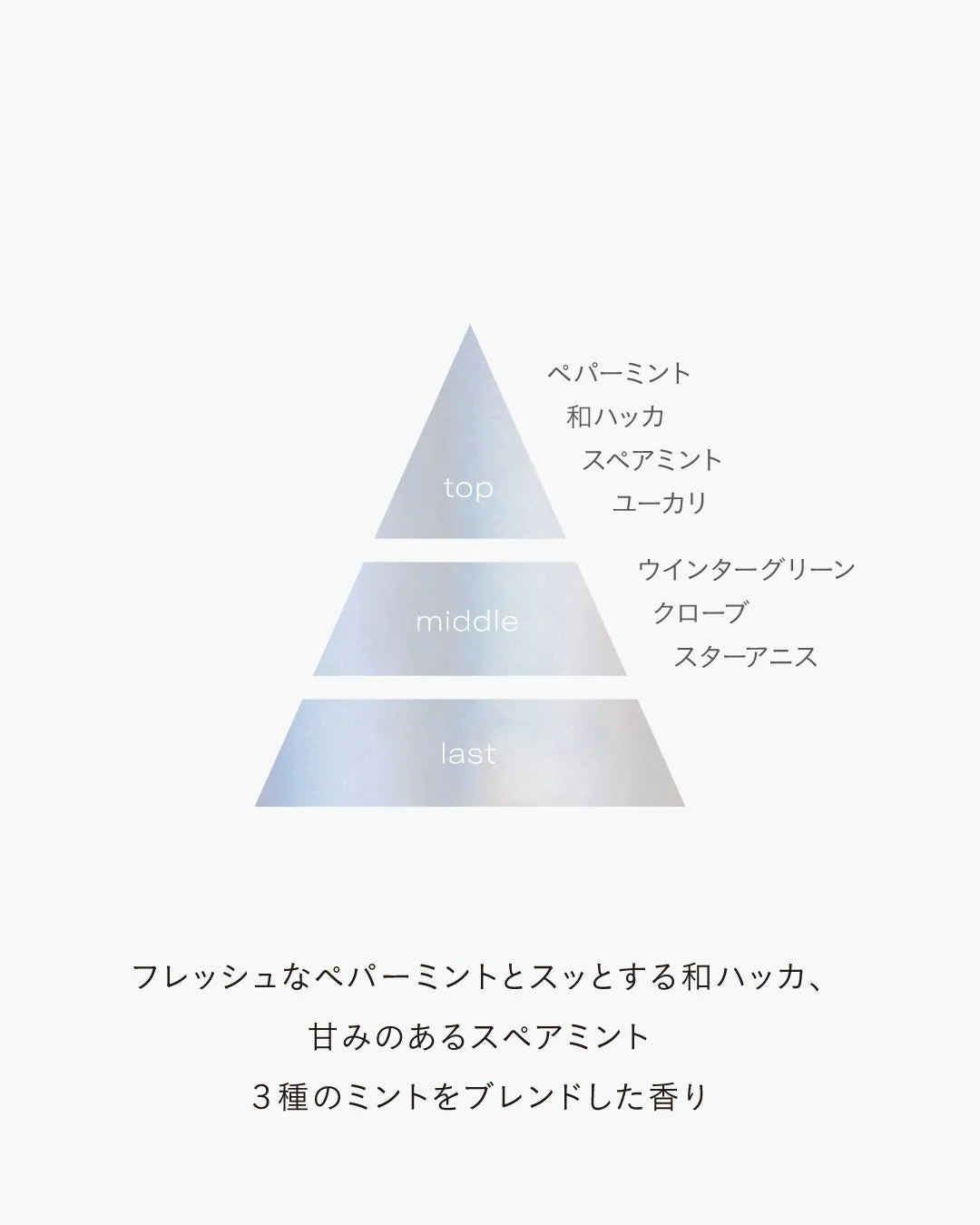 ボディミストの香り構成図