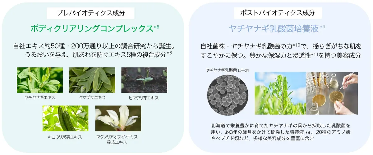 ヤチヤナギ乳酸菌などの配合成分の説明図