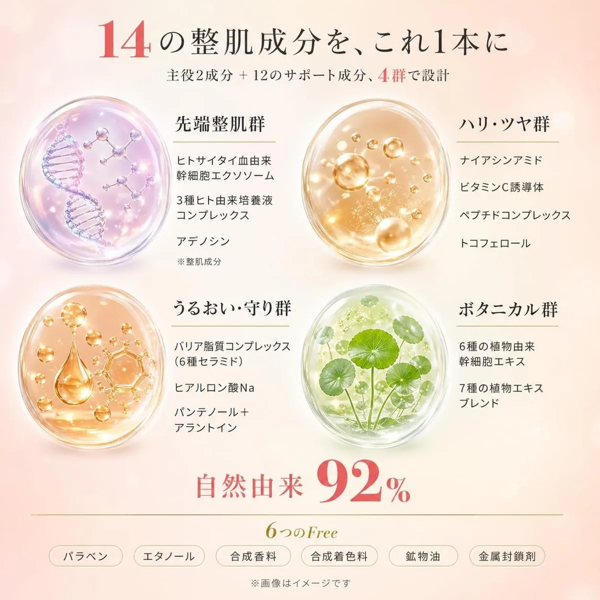 幹細胞由来成分やビタミンC誘導体など14種の整肌成分リスト