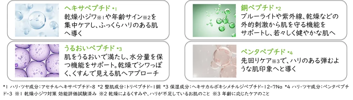 肌へのアプローチを支える4種の機能性ペプチドの成分イメージ
