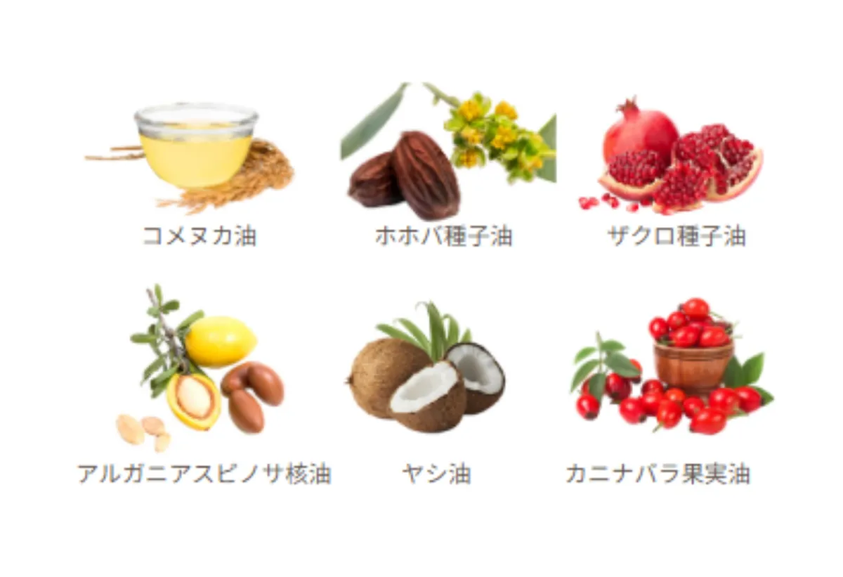 コメヌカ油やホホバ種子油など6種の植物オイル成分