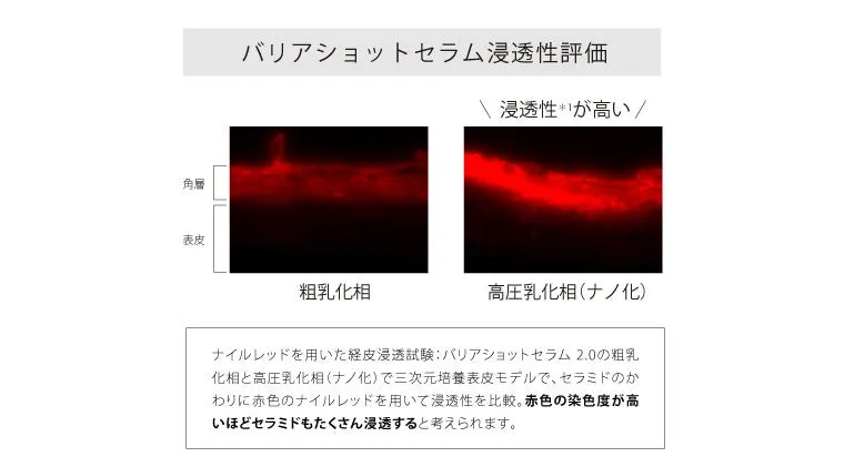 ナノ化による浸透性の違いを示す比較画像