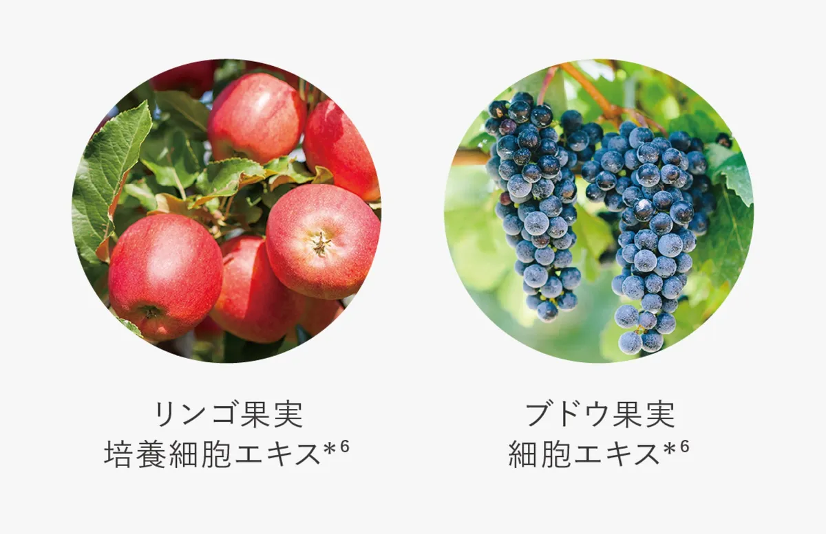 成分に使用されているリンゴとブドウのみずみずしい写真
