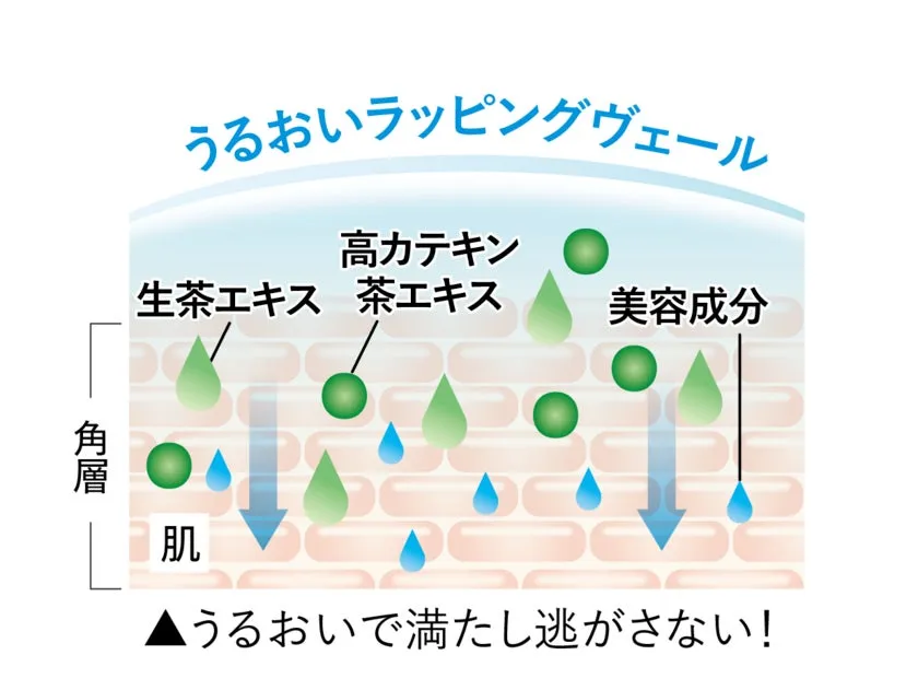 肌の角層までうるおいが浸透しラッピングされるイメージ図
