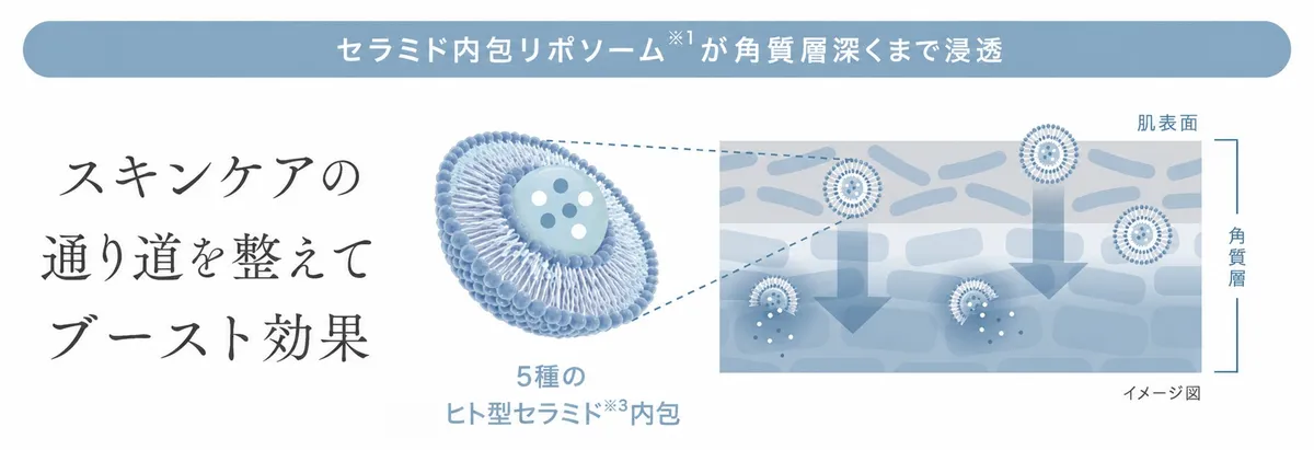 セラミド内包リポソームによるスキンケアの通り道を整えるブースト効果のイメージ