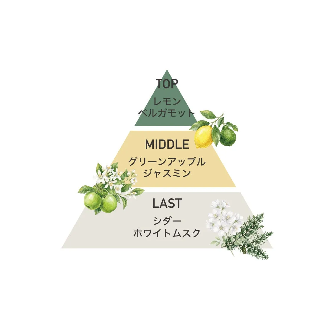 香りの構成を示すピラミッド図解