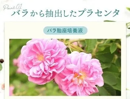 成分として配合されているバラのイメージ写真