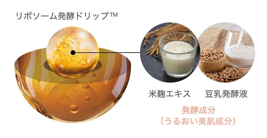 リポソーム発酵ドリップの構造と米麹・豆乳成分のイメージ図