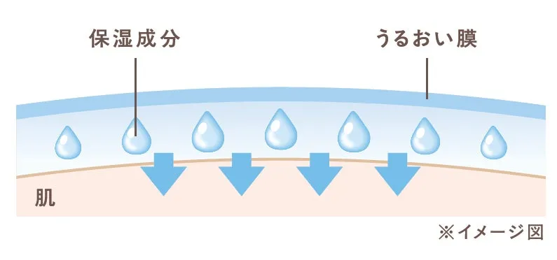 肌の表面にうるおい膜を形成し、保湿成分を届けるイメージ図