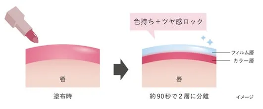 塗布後約90秒でカラー層とフィルム層に分離し、色とツヤをロックする仕組みの図解
