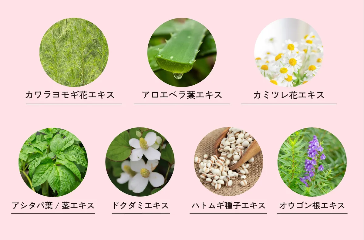 配合されている7種の天然ハーブエキスのイメージ