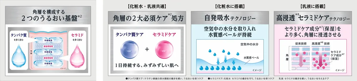 タンパク質ケアとセラミドケアの仕組みを説明する図解