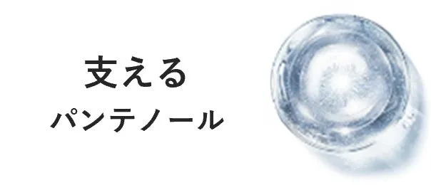 肌バリアを支えるパンテノールのイメージ図