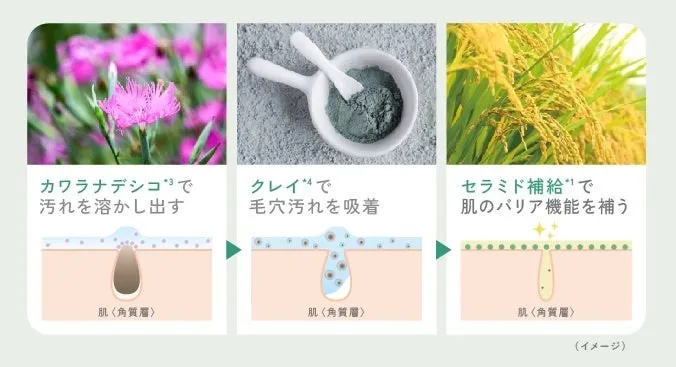 クレンジングの3つのステップ図解