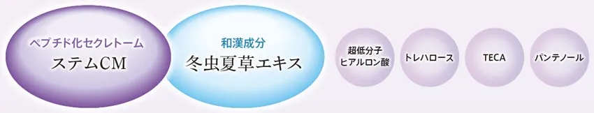 ステムCMや冬虫夏草エキスなど、配合されている主要成分の解説図