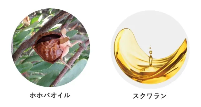 ホホバオイルとスクワランのイメージ画像