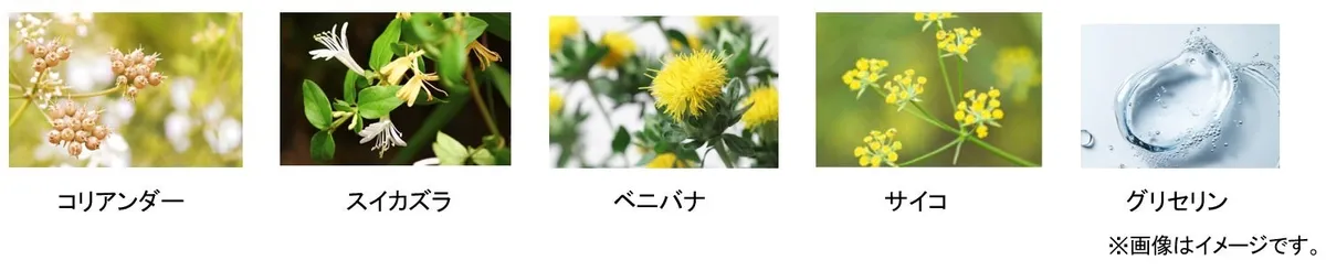 配合されている厳選された植物成分