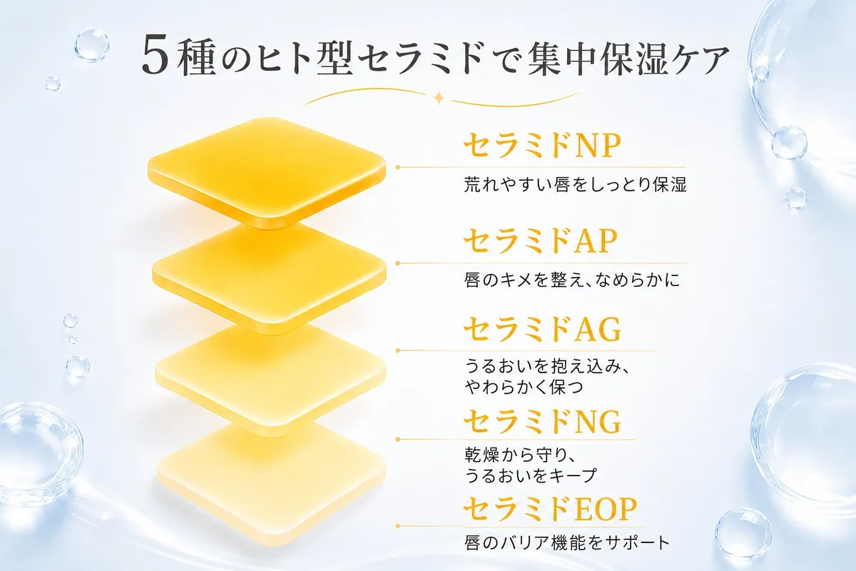 5種のヒト型セラミドによる集中保湿ケアの図解