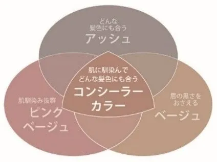 独自のコンシーラーカラー設計を説明した図解