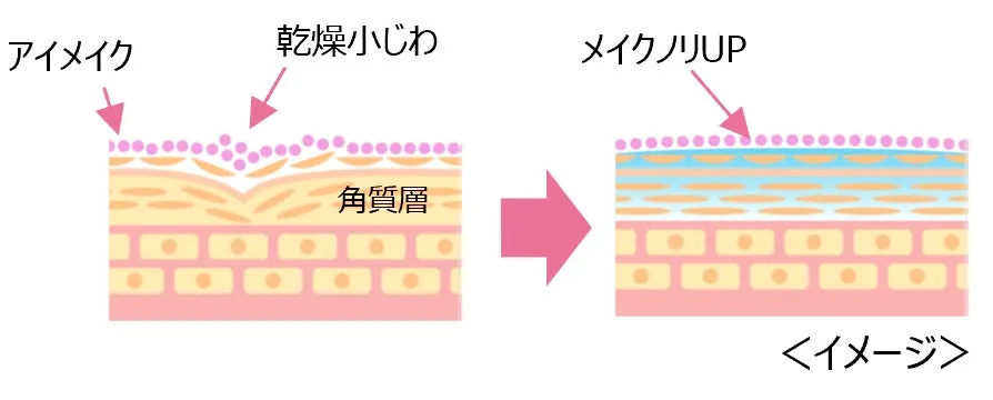 乾燥小じわを整えてアイメイクのノリをアップさせる仕組み
