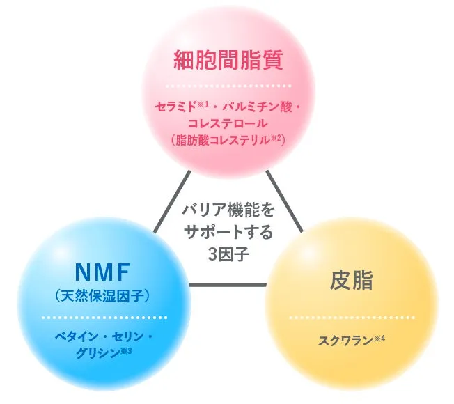 バリア機能をサポートする3因子の図解。細胞間脂質、NMF、皮脂を補う仕組み