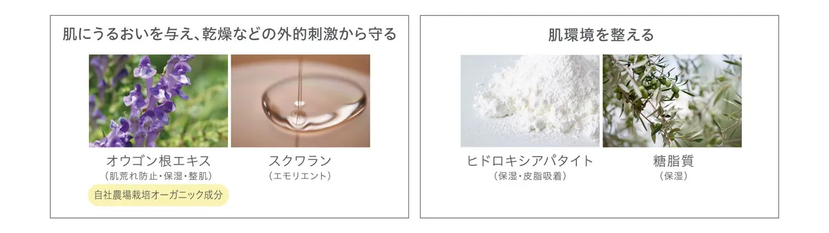 肌を守り整える天然由来のスキンケア成分一覧