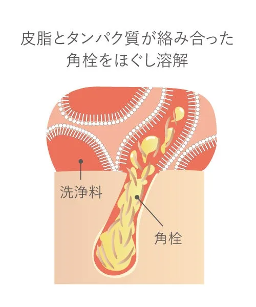 角栓が溶解されるメカニズムの図解