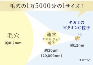 毛穴とビタミンC粒子のサイズ比較図