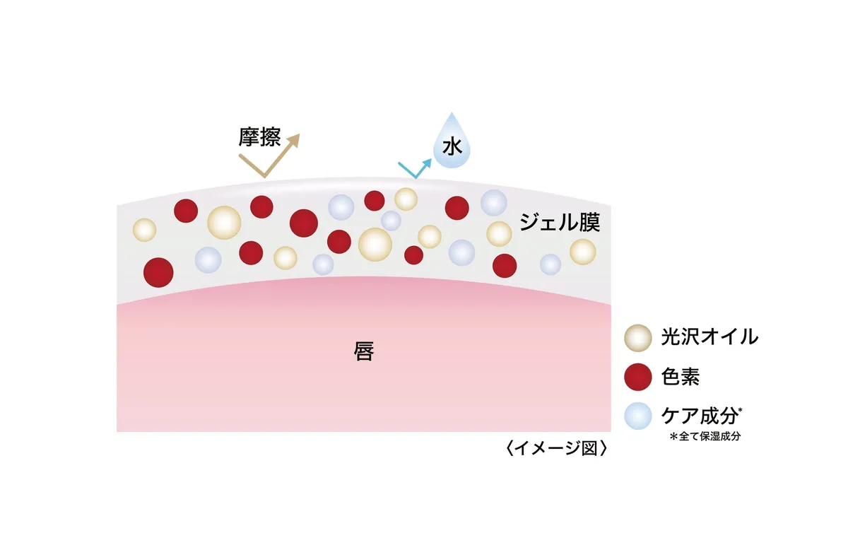 シャインビーストのジェル膜構造イメージ図