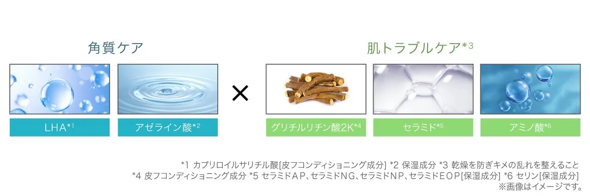 LHAやアゼライン酸、セラミドなどの配合成分図解