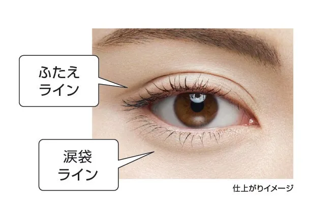 ダブルラインエキスパートを使用したふたえラインと涙袋ラインの仕上がりイメージ