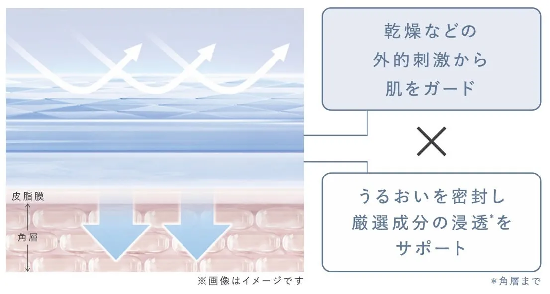 ダブルのうるおいバリア膜のメカニズム図解