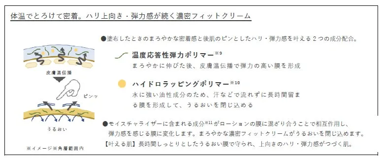 体温でとろけて密着する濃密フィットクリームの仕組み解説図