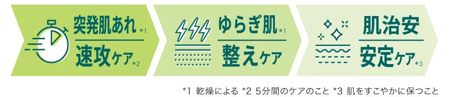 速攻・整え・安定の3ステップケア解説図