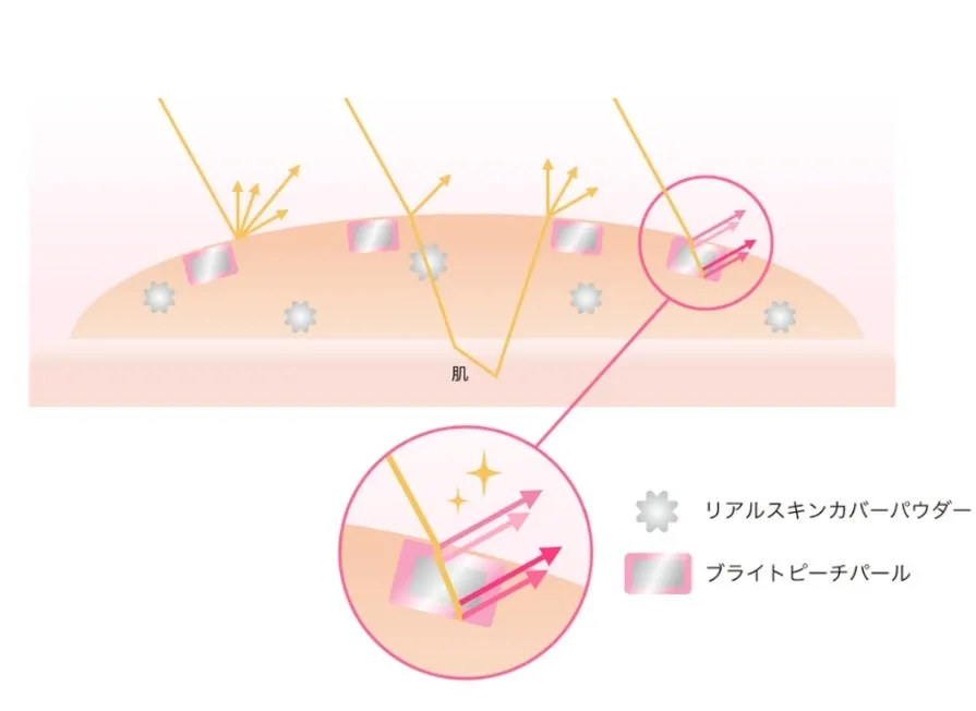 ブライトピーチパールが光を反射して血色感を与える仕組みの図