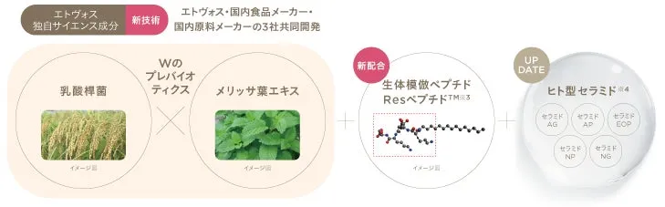 独自サイエンス成分の解説図。ヒト型セラミドや乳酸桿菌など