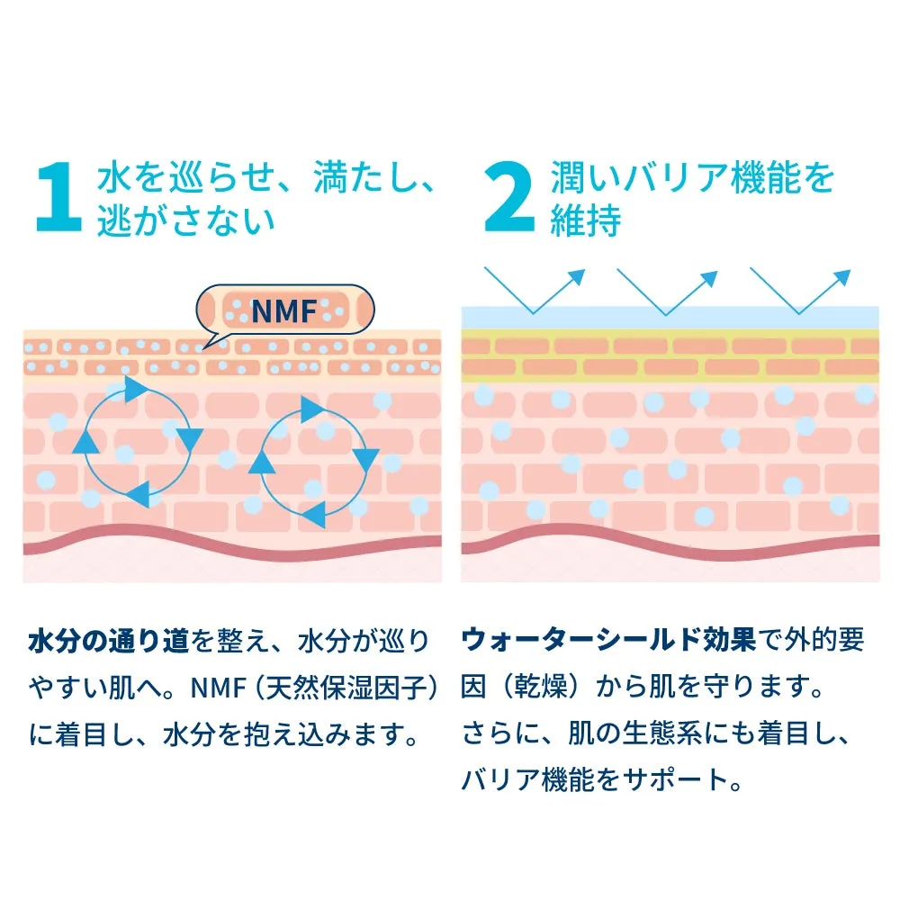 肌の水の巡りとバリア機能をサポートする仕組みの図解
