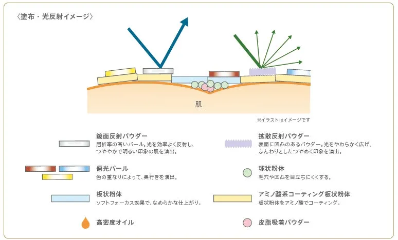 肌に密着するパウダーの構造