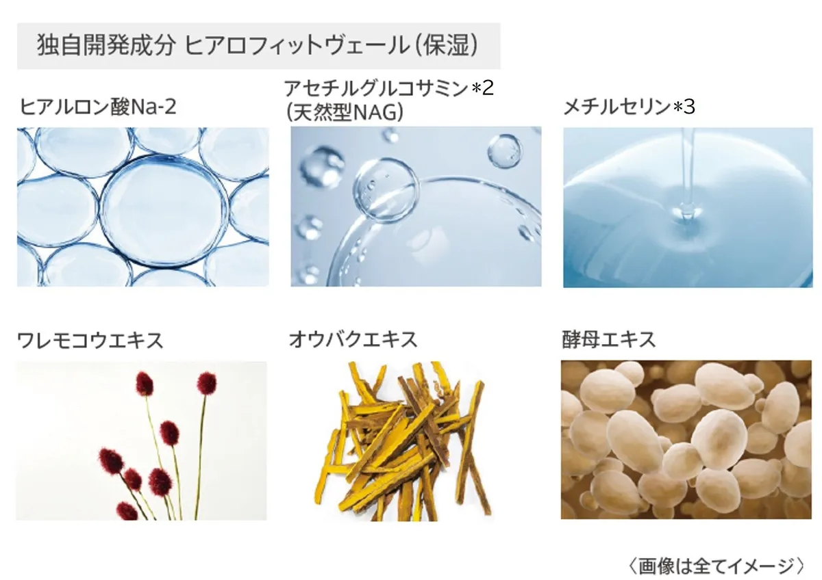 ヒアルロン酸などの配合成分イメージ