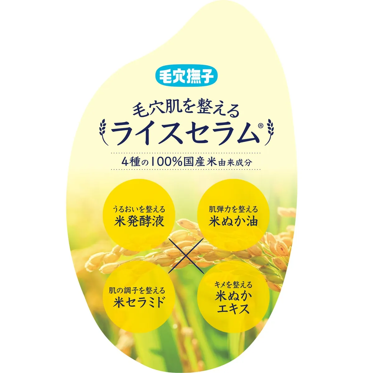 4種のライスセラム成分を解説したイラスト